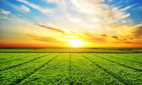 agri